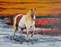 Chincoteague